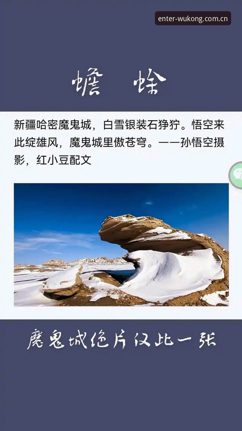 悟空体育官网与自创平台入口对比：选错一步，差别不止一个版本